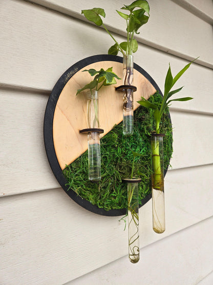 Round moss wall art living plant propagation water plants; mid century, boho, customized, personalized, propagation station, wall vase