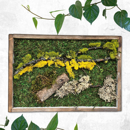 Moss wall art. moss wall. preserved moss. wall garden. art home decor. art with flowers. large home decor. recycled wood