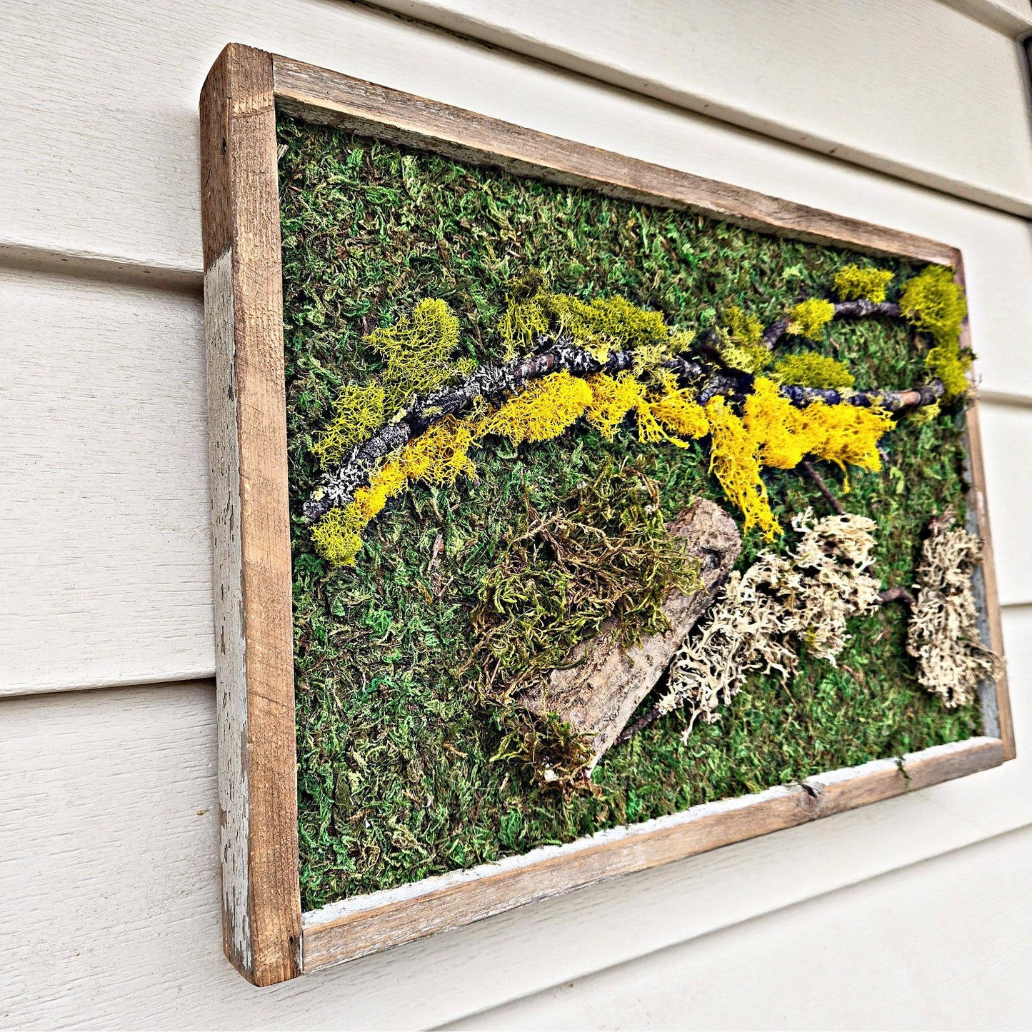 Moss wall art. moss wall. preserved moss. wall garden. art home decor. art with flowers. large home decor. recycled wood