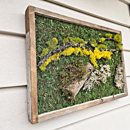 Moss wall art. moss wall. preserved moss. wall garden. art home decor. art with flowers. large home decor. recycled wood