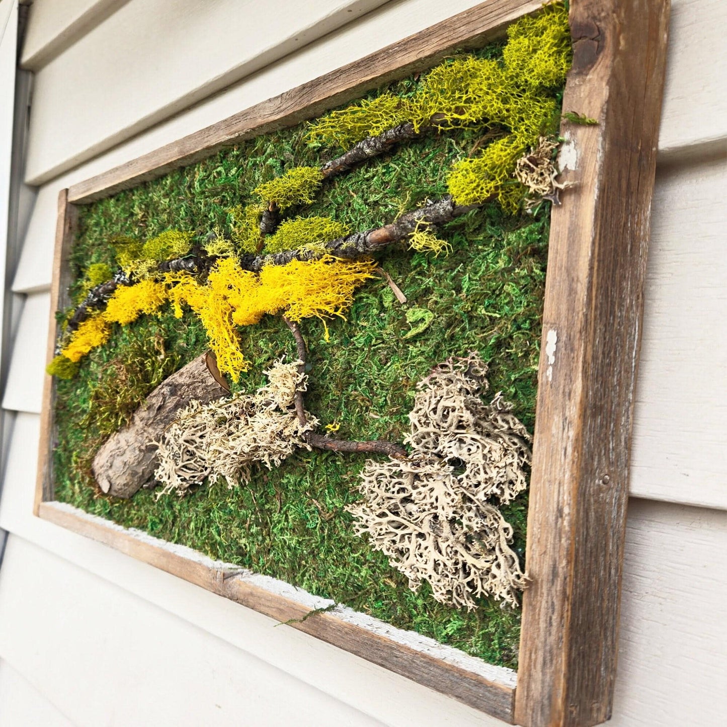 Moss wall art. moss wall. preserved moss. wall garden. art home decor. art with flowers. large home decor. recycled wood