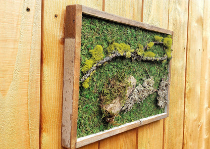 Moss wall art. moss wall. preserved moss. wall garden. art home decor. art with flowers. large home decor. recycled wood