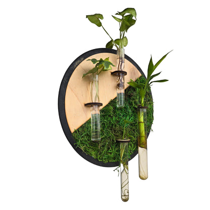 Maple wood moss wall art, plant propagation station, boho decor