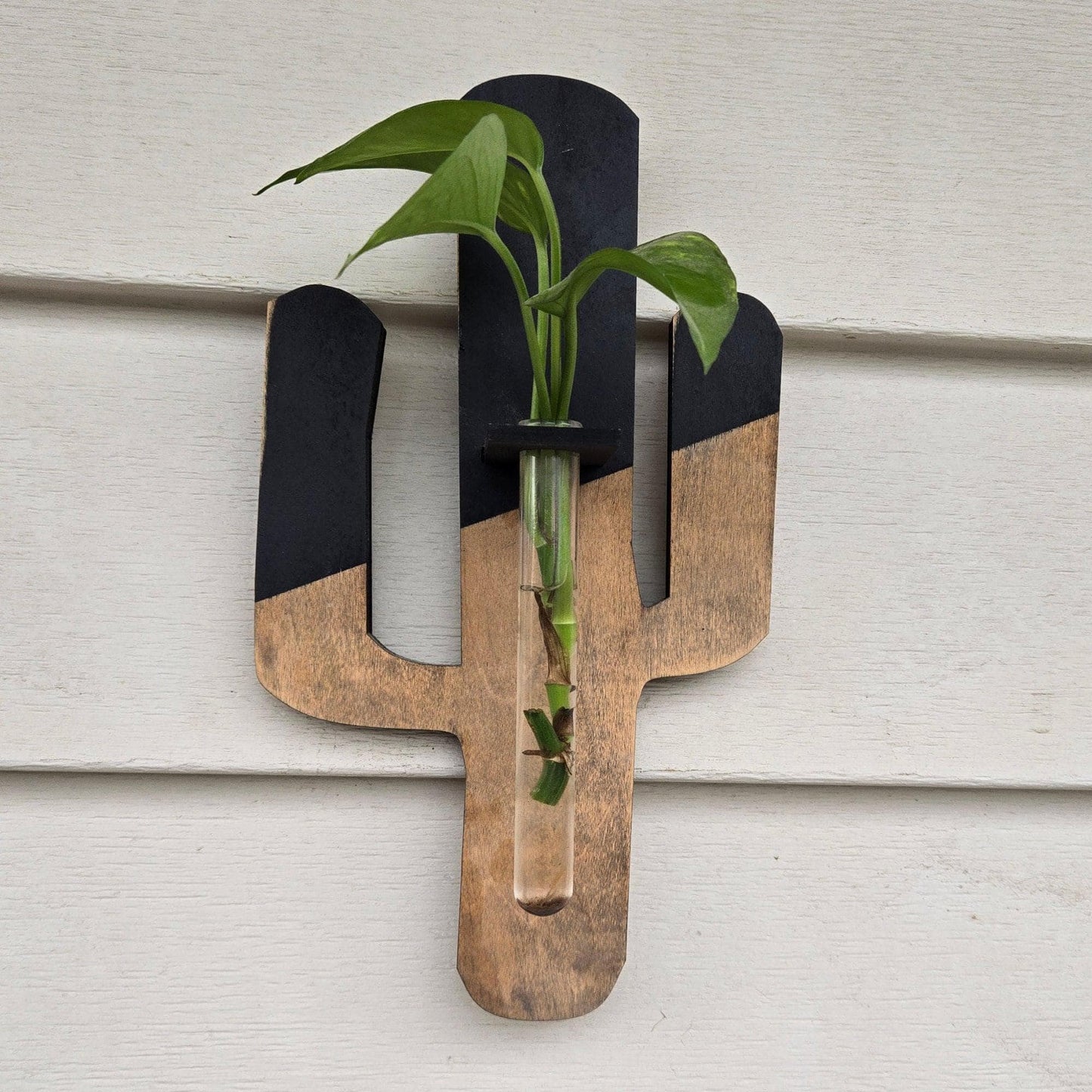 Maple wood moss wall art, plant propagation station, boho decor