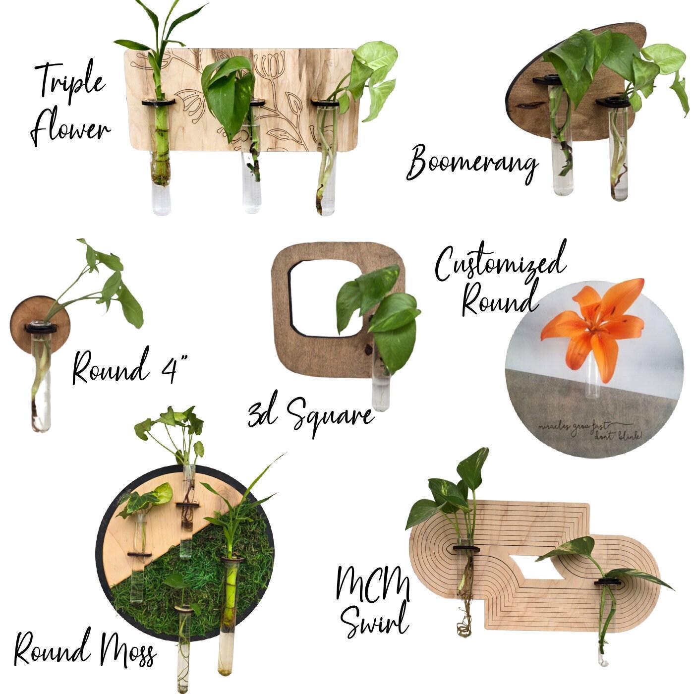Maple wood moss wall art, plant propagation station, boho decor