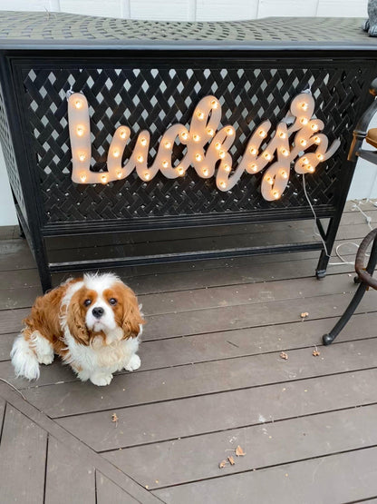 Handcrafted Maple Wood Howdy Marquee Sign, Lighted Western Wall Decor