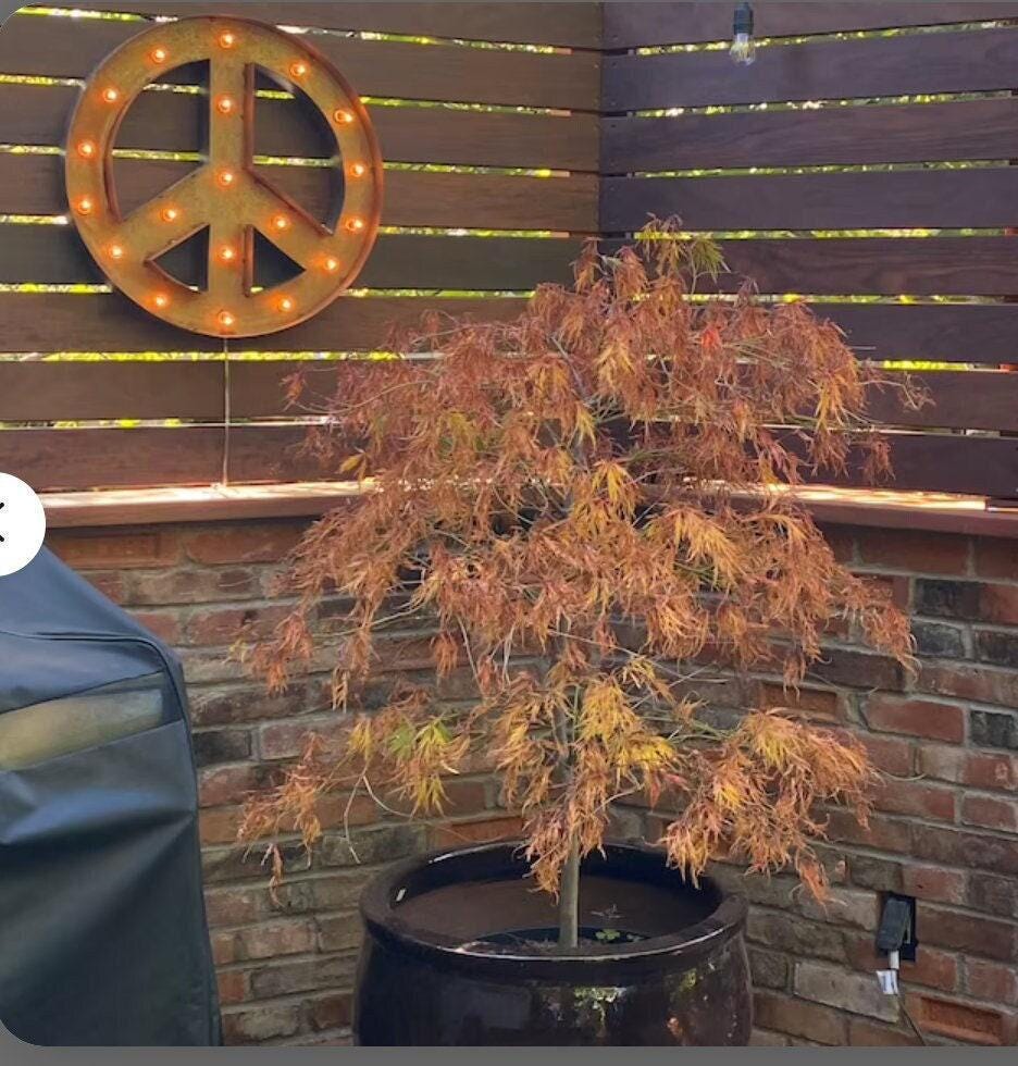 Large metal marquee peace sign old vintage style lighted peace sign steel..........kids teens game room home decor outdoor christmas