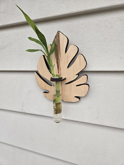 Monstera Plant Swirl Wood Wall Art Living Plant Propagation Water Plants; Mid Century, Boho, Customized, Propagation Station, Wall Vase