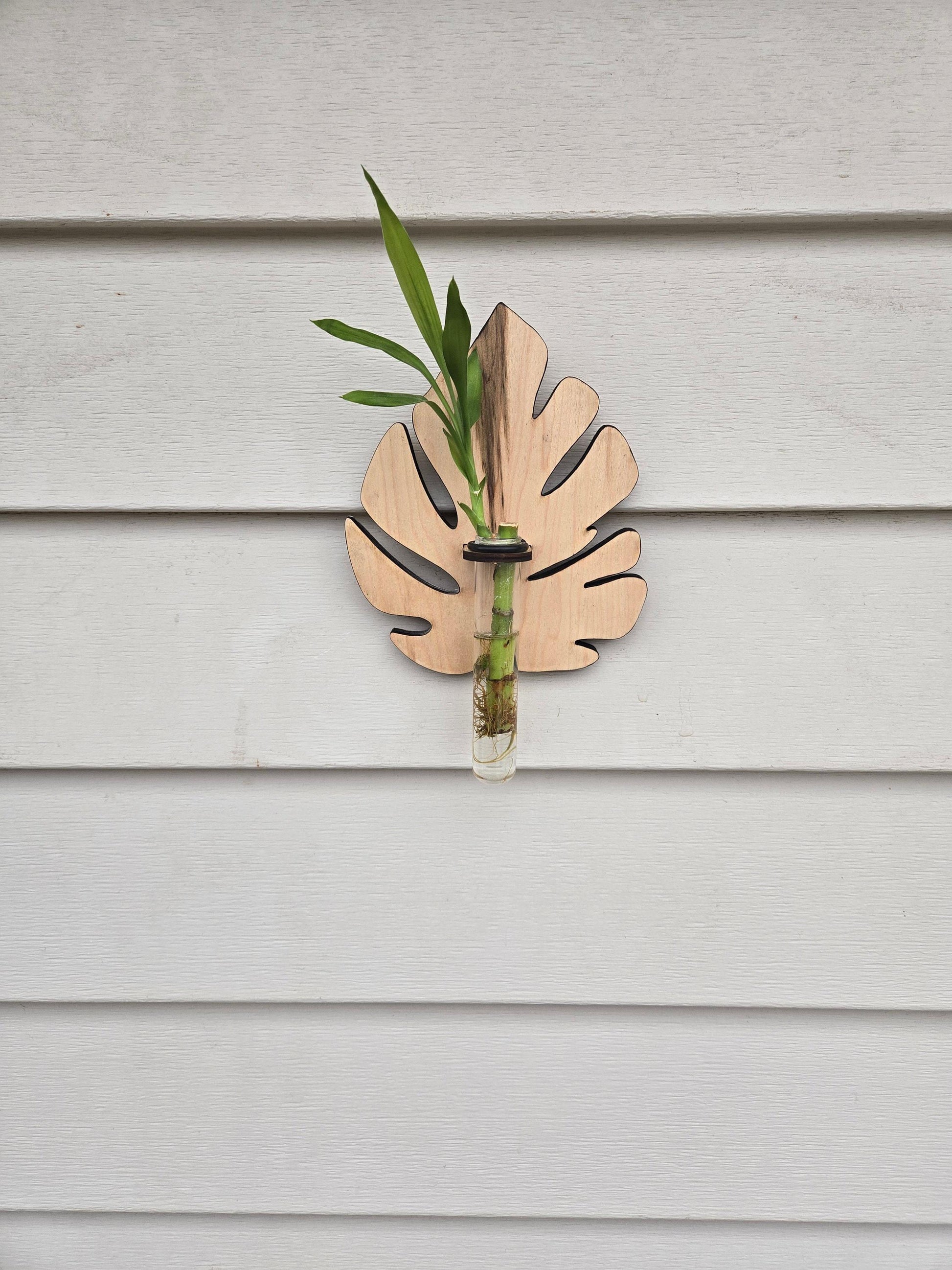 Monstera Plant Swirl Wood Wall Art Living Plant Propagation Water Plants; Mid Century, Boho, Customized, Propagation Station, Wall Vase