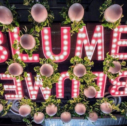 24" marquee letters, marquee letter, light up letter, marquee letter, wedding sign decor, business outdoor signage, commercial quality